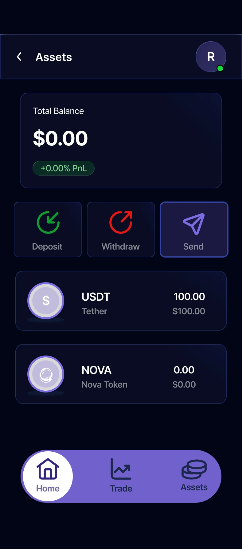 Nova redesigned assets screen